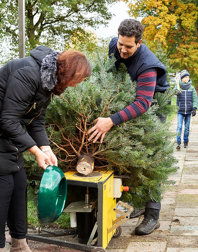klein Wat mensen betreft Vochtig EasyFix Standaard – Kerstboom kopen doe je bij Ikwileenkerstboom.nl